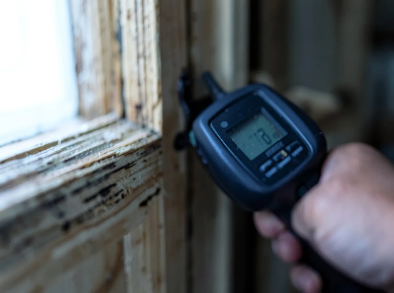 Moisture Inspection And Documentation in Mumford, NY